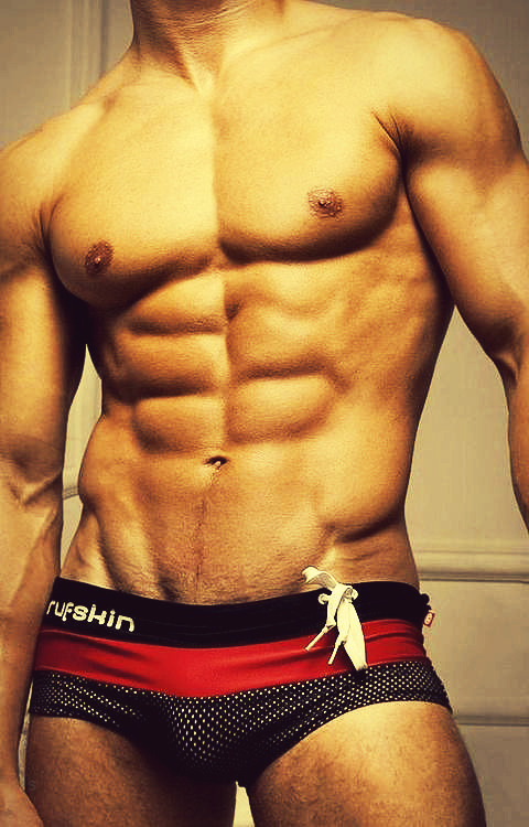 ADONIS ARCHIVE