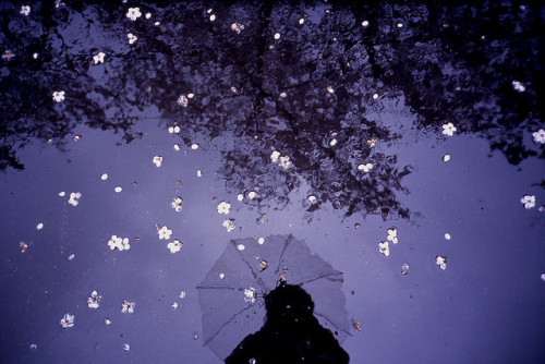 dreams-of-japan:untitled by tetsuya miyoshi on Flickr.