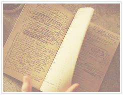openthesnitch:  THE MAGIC BEGINS [25] favourite class - Potions  I can teach you