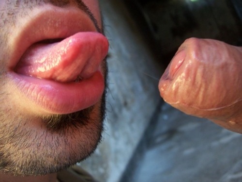 bbincumming2:  theconsolidator:  Follow The Consolidator.  http://bbincumming2.tumblr.com/tagged/precum
