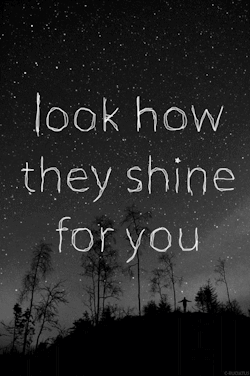 look how they shine… look at the stars