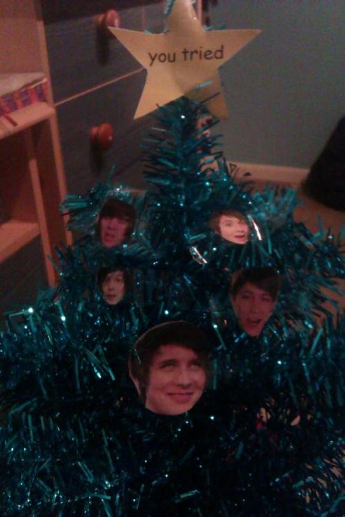 snow-dan:placenta-princess:MY MINI CHRISTMAS TREE YEP AREN’T I THE BEST OR WHATYOU ARE THE FUCKING B