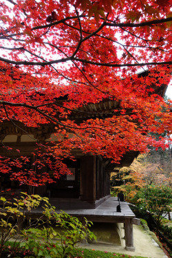 Green-Tea-And-Origami:  Kongorinji Temple (Koto-Sanzan), Shiga, Japan On Flickr By  Hall1998