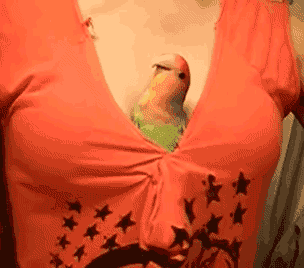 Ari Appreciation Blog