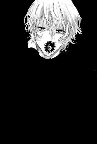 blackurocku:  [スプレー菊][Edit]