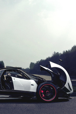 fuckyeahthebetterlife:  Pagani Zonda Cinquevia