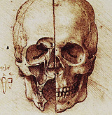   Sketches of Leonardo da Vinci.  