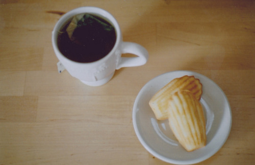 taken in early fall, on a sunday; green tea and madeleines