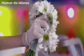 corre-pras-colinas:  Vendo esses gifs:  MARIA BITCHHHHHHHHHHH ~Humor-de-idiotas 