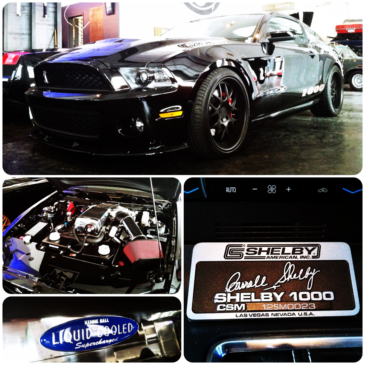Ford Mustangs