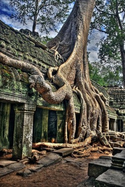 aroundtheworldinsomanydays:  Angkor Wat,