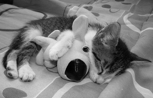 I want love...