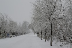 nikonstudio:  Welcome to China’s Winter Wonderland!