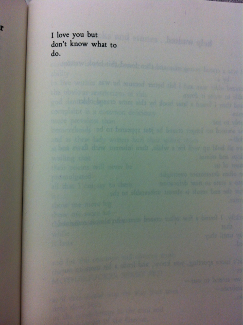 lovelysenses:  want more love/life quotes like this?