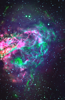 stellar-indulgence:  Swan Nebula
