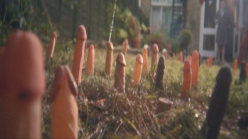 squidwurd:  roses are penis violets are penis 