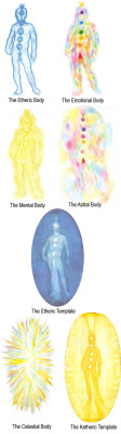 healingforum:The first 7 levels of the human energy field, from Hands of Light by Barbara Brennan