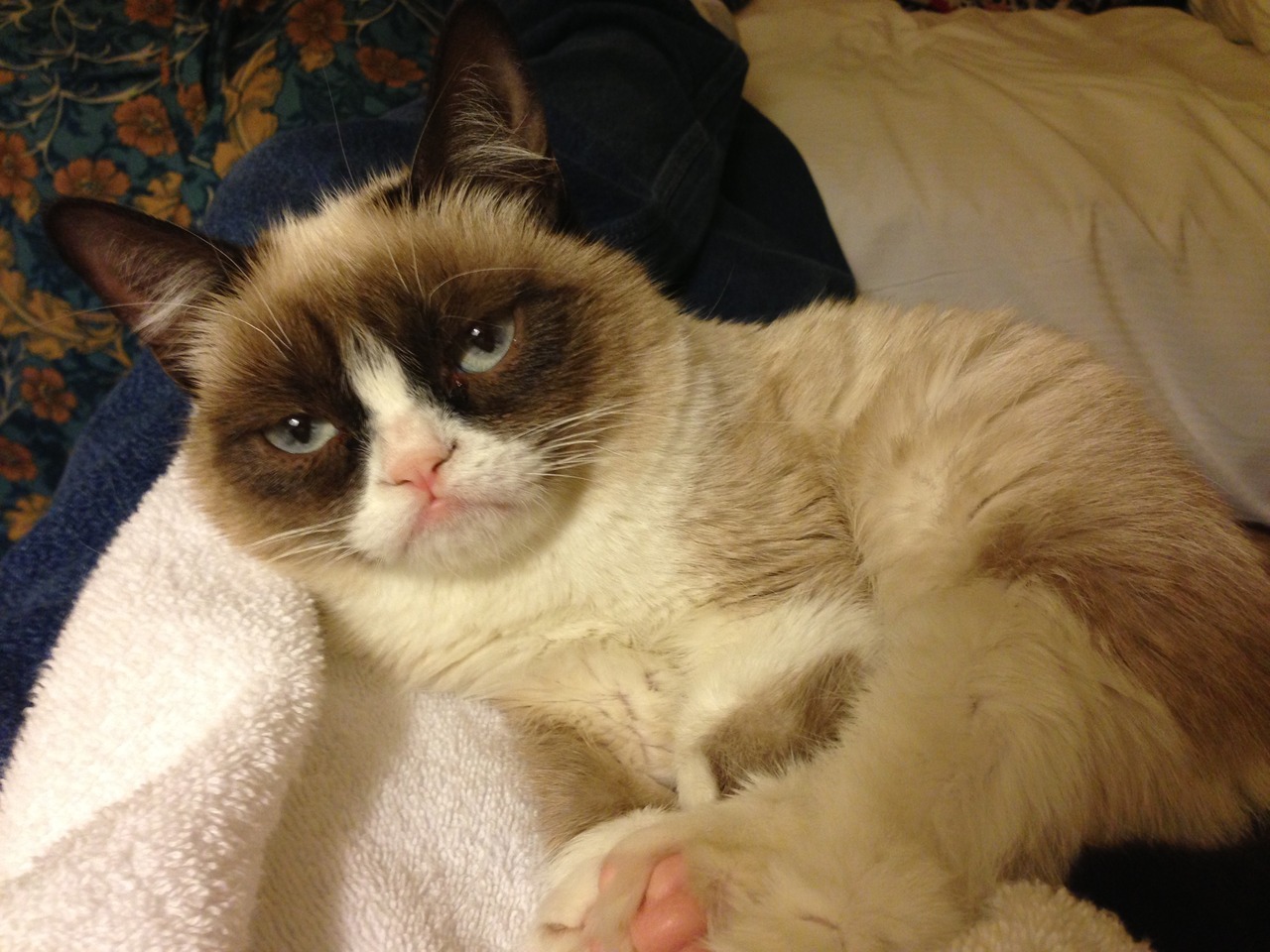The Daily Grump | December 3, 2012