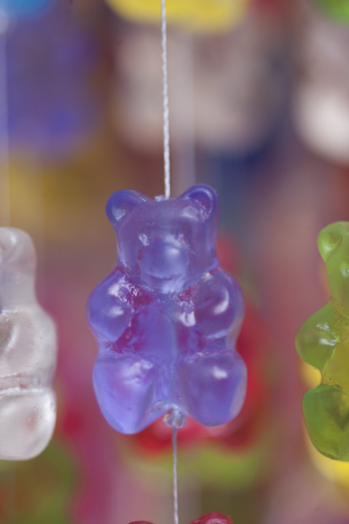 kchampeny:The “Candelier” I make for Jellio has just over 3000 hand cast acrylic GummiBears.  At 18”