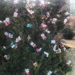 8Th Co Celebrates Christmas. #8Thco #Christmas #Trash #Cigarettes