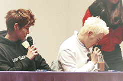 blockgifs-blog:  now it’s b-bomb time to see the color of p.o’s underwear 