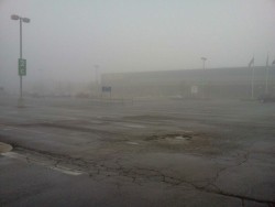 tupacabra:  moanx:  heaven  this is not heaven this is a picture of the ikea parking lot that i took on my way into work at about 8 AM  Silent Hill