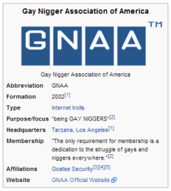 narutosjingleballs:  being GAY NIGGERS 
