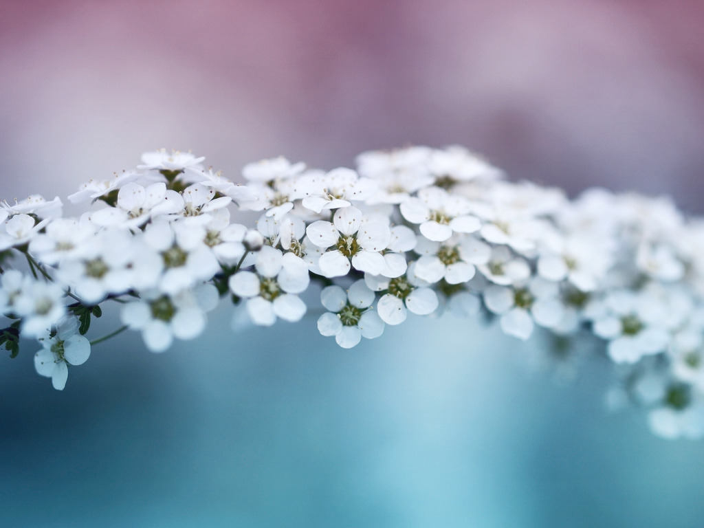 suicidality:  Barb Augustynowicz