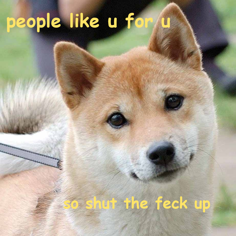 jarylgaren:  orewatowi:  these shibas got yer back  Those are very wise shibas indeed.