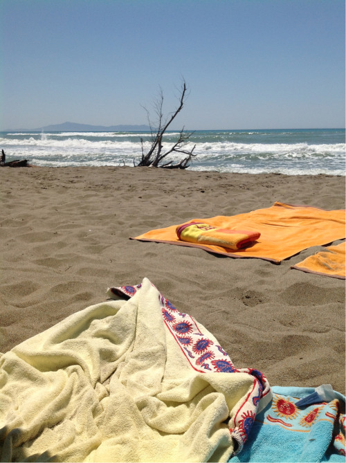 Spiaggia del parco dell'Uccellina