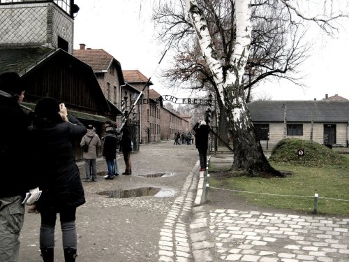 visit auschwitz. it&rsquo;s like the universal studios but I couldn&rsquo;t find the animatr