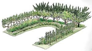 sustainable-sam:  motherearthnewsmag:   Plant an Edible Forest Garden Make your garden more productive by learning how to mimic a natural forest.   By Harvey Ussery   Illustrations by Elayne Sears  That’s the idea.  