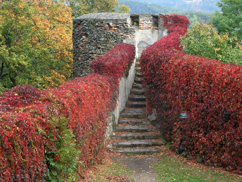 Bolkow Castle in autumn livery, Łódź Voivodeship in central Poland (by zig2122).