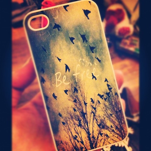 -transformer: My new case is so perfect