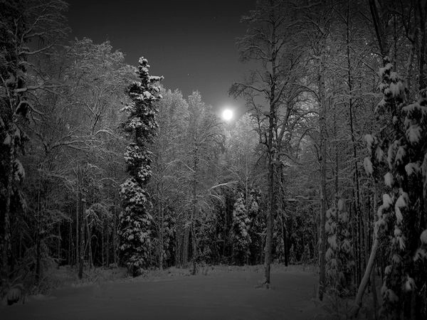 Wintersun