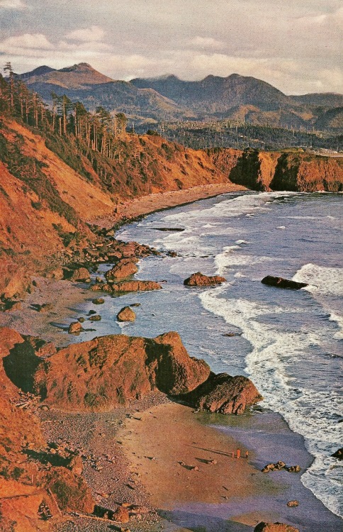 vintagenatgeographic:Ecola State Park, OregonNational Geographic | November 1963