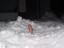 cumberbitchsandwich:  uncommonlymodestmermaid:  cumberbitchsandwich:  A Canadian blind date.  What i want to know is who could keep a boner while he was being completely buried in the snow  I don’t know, but I’d sure like to meet him. 