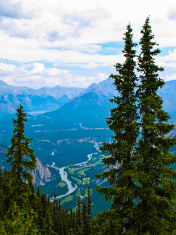 danlophotography:  Bow Valley 