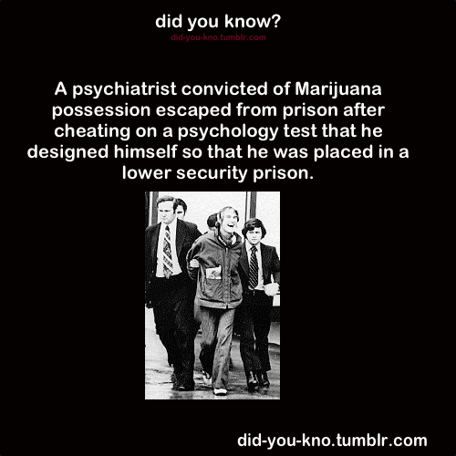 did-you-kno:  Source    All because of weed.