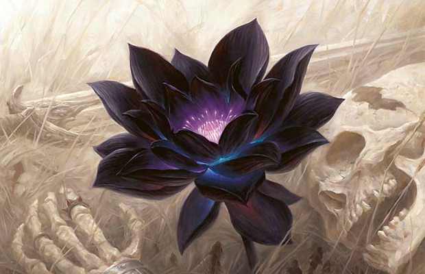 New Black Lotus art by Chris Rahn. Pretty!