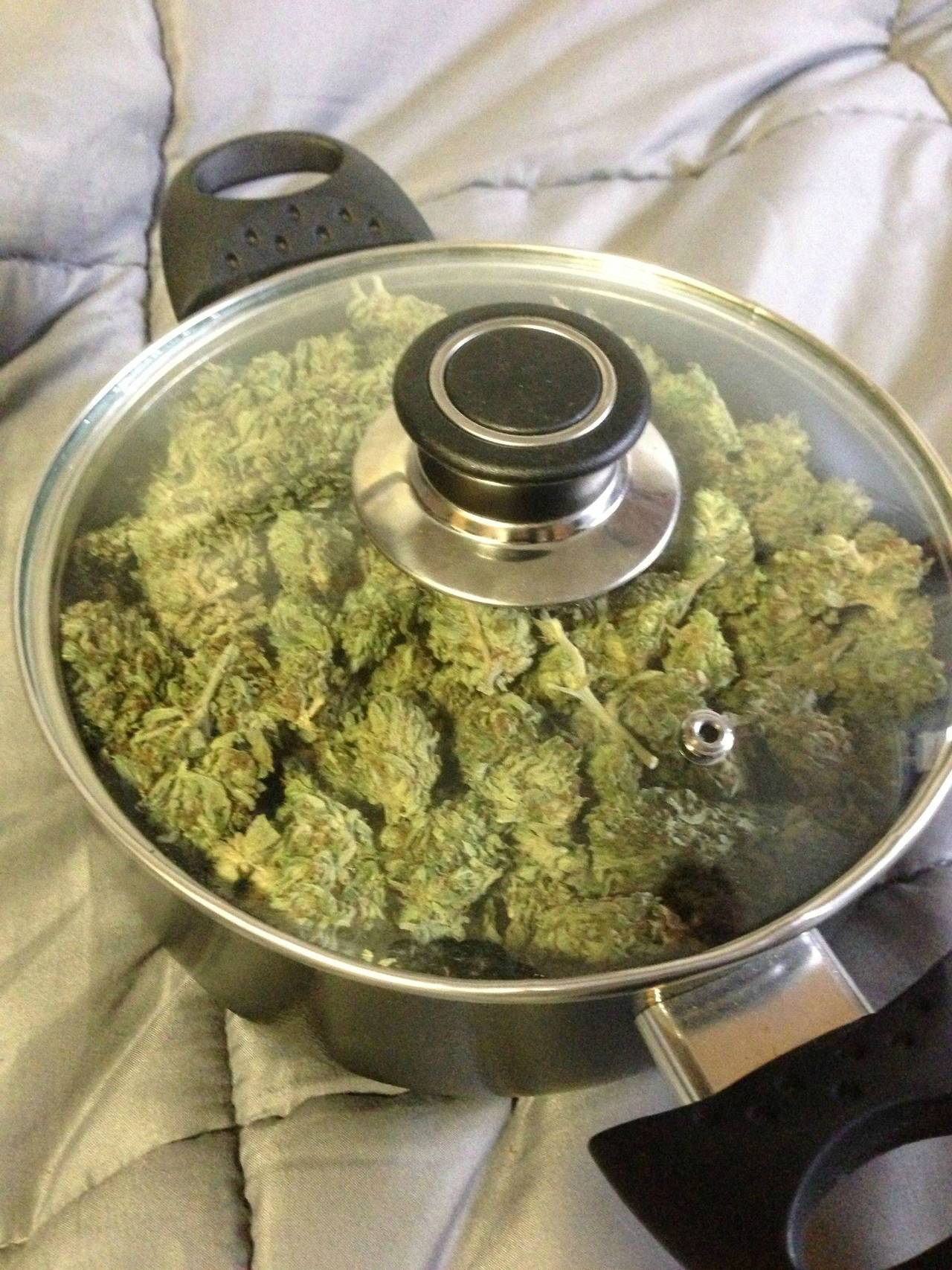 fluxthepolice:  beliefsatindica:  potception   HAHAHA^