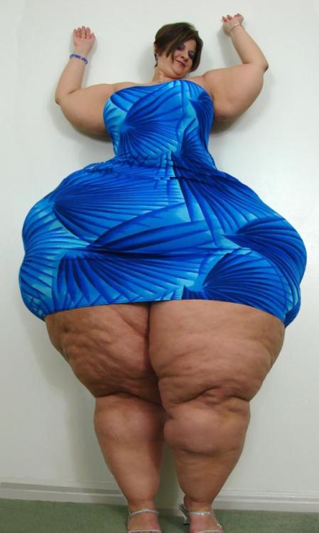 Funny Morphs I