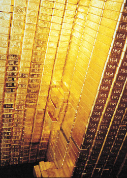 the-monicalewinsky:  gold bars