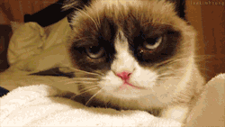 jacks-cold-sweat:  You know grumpy cat probably has down’s syndrome (yes, cats get that). This probably means that he’s actually incredibly happy all the time. Irony.  