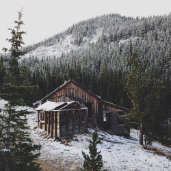 perpetuallychristmas: winterglitterr:  ❄Winter