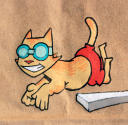 lunchsackpoetry:  Swimming Cat! Lovingly, Lunch Sack Poetry Note: for swimming camp 