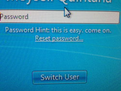 Sleighdirector:  My Password Hints Aren’t Hints They’re Taunts   If My Hint Said