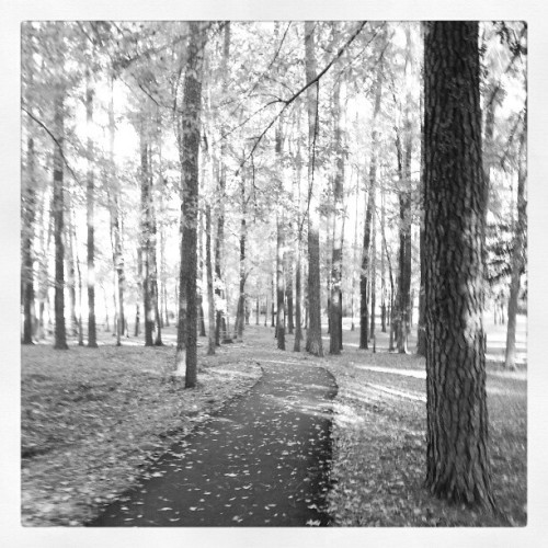 #fmsphotoaday #photoadaydecember #black&white