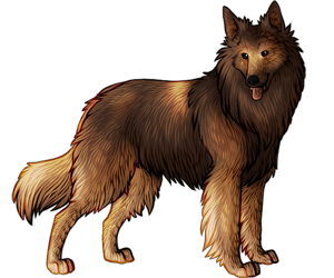 kiraraneko:  Belgian Tervuren and Belgian Shepherd! :) I wish the images didn’t