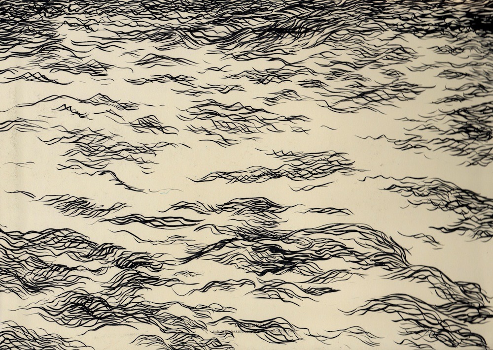 puoce:  hifas:  Ocean Sketches by Sam Alden | on Tumblr   similar here